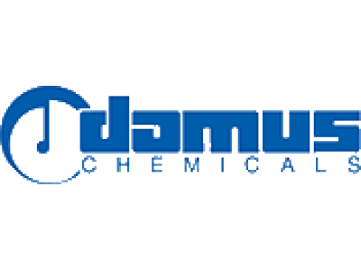 DOMUS CHEMICALS SPA